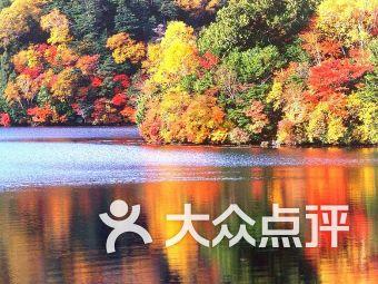 数学难题选关版