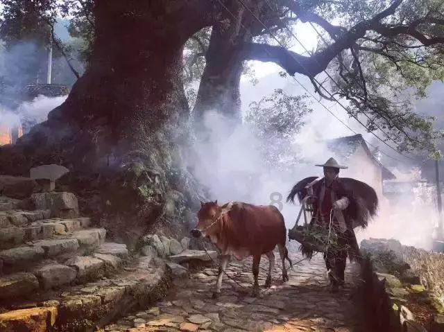 当一个男生平白无故的问你红豆生南国的下一句是什么的时候是什么意思？游戏画面