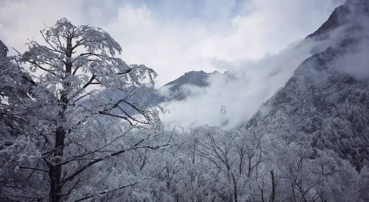 救援度假的法官