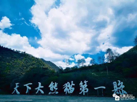 点星沉月