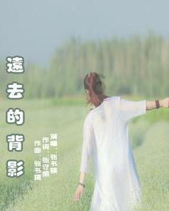 路飞大冒险