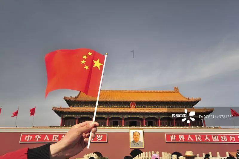 动物帮帮忙保卫家园