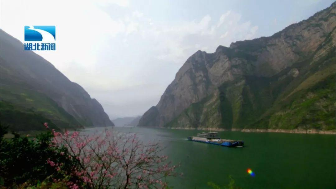 李佳琦遭指历史文化教养缺乏,带货事件引争议,众怒扩大!