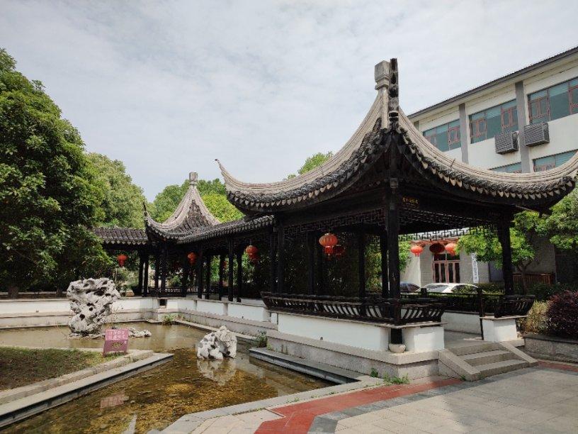 卢顺义:帕金森病患者面临药物控制失效的困境，该如何应对？