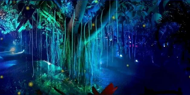 内蒙古通辽通报一动物园猫猴共栖:已将猫移出猴山,猫一直健壮